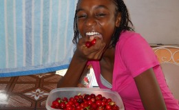 What You Dont Know About Jamaican Cherries
